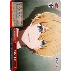 画像1: 普通の幸せ[WS_OSK/S121-063CR]