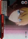 【RRR仕様】普通の幸せ[WS_OSK/S121-063R]