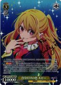【SP仕様(RR)】自分だけの色 ルビー[WS_OSK/S121-003_SP]