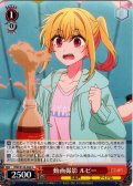 動画撮影 ルビー[WS_OSK/S133-042U]