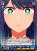 積み重ねた研究 黒川あかね[WS_OSK/S133-069R]