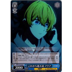 画像1: これから選ぶ道 アクア[WS_OSK/S133-076U]