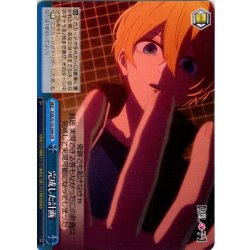 画像1: 完成した計画[WS_OSK/S133-099CR]