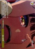 【フレームレス仕様】涙の意味[WS_OSK/S133-104_PR]