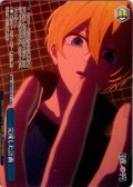 【フレームレス仕様】完成した計画[WS_OSK/S133-111_PR]