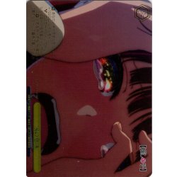画像1: 【RRR仕様】涙の意味[WS_OSK/S133-026R]