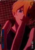 【RRR仕様】完成した計画[WS_OSK/S133-099R]