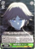 無謀な進言 ネイア[WS_OVL/SE51-34C]