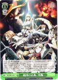 最凶の正義、光臨[WS_OVL/SE51-43U]