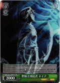 【H仕様(R)】聖騎士団従者 ネイア[WS_OVL/SE51-21HR]