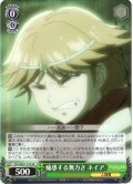 【H仕様(C)】痛感する無力さ ネイア[WS_OVL/SE51-31HC]