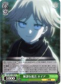 【H仕様(C)】無謀な進言 ネイア[WS_OVL/SE51-34HC]