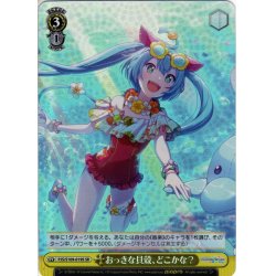 画像1: 【SR仕様(R)】おっきな貝殻、どこかな？[WS_PJS/S109-019S]