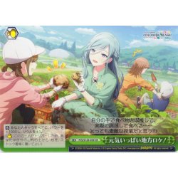 画像1: 元気いっぱい地方ロケ！[WS_PJS/S125-059CR]