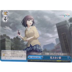 画像1: 見えない影[WS_PJS/S125-116CR]