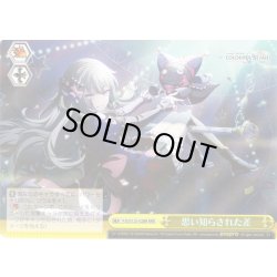 画像1: 【RRR仕様】思い知らされた差[WS_PJS/S125-028R]