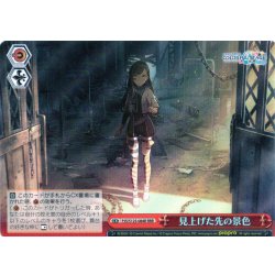 画像1: 【RRR仕様】見上げた先の景色[WS_PJS/S125-084R]