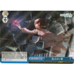 画像1: 【RRR仕様】見えない影[WS_PJS/S125-116R]