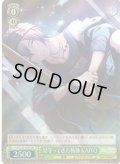 【SR仕様(U)】見守ってきた軌跡 KAITO[WS_PJS/S125-039S]