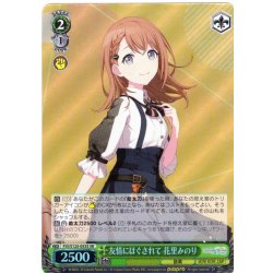 画像1: 【SR仕様(C)】友情にほぐされて 花里みのり[WS_PJS/S125-053Sb]