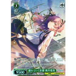 画像1: 【SP仕様(R)】離れていく距離 桃井愛莉[WS_PJS/S125-037_SP]