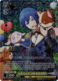大丈夫だよ、みんな KAITO[WS_PJS/SE49-020P]