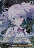 風に舞う花びらの中で 初音ミク[WS_PJS/SE49-025P]