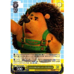 画像1: “ハリネズミのぬいぐるみ”ミスター・プリックルパンツ[WS_PXR/S122-005R]