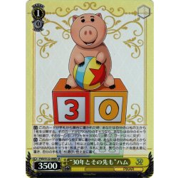 画像1: 【SR仕様(R)】“30年とその先も”ハム[WS_PXR/S122-008S]
