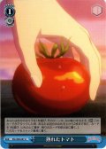 熟れたトマト[WS_RSL/S98-097U]