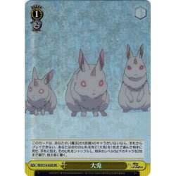 画像1: 【SR仕様(U)】大兎[WS_RZ/S116-022S]