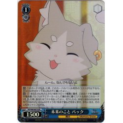 画像1: 【SR仕様】未来のこと パック[WS_RZ/S68-061S]