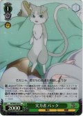 【ホロ仕様】実力者 パック[WS_RZ/SE35-20U]