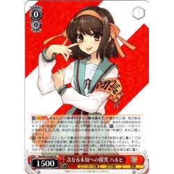 画像1: 次なる未知への探究 ハルヒ[WS_Ssy/W123-065R]