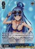 【SR仕様(C)】サマーバケーション アクア[WS_Sks/W123-123S]
