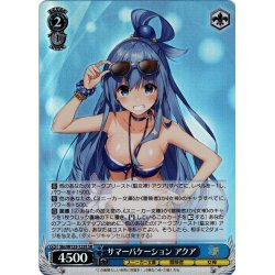 画像1: 【SR仕様(C)】サマーバケーション アクア[WS_Sks/W123-123S]