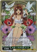 【SP仕様(RR)】未来へつながる道 みくる[WS_Ssy/W123-027SP]