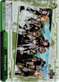 【RRR仕様】Hearty party[WS_SAO/S71-054R]