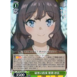画像1: 秘密の約束 姫路 紗良[WS_SBY/W136-030R]