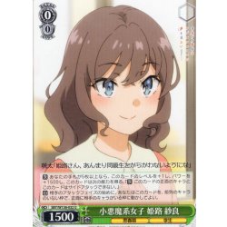 画像1: 小悪魔系女子 姫路 紗良[WS_SBY/W136-032U]