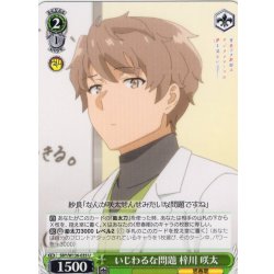 画像1: いじわるな問題 梓川 咲太[WS_SBY/W136-035U]