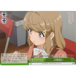 画像1: 合格祝い[WS_SBY/W136-045CR]