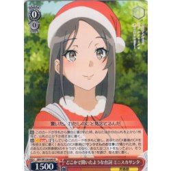 画像1: どこかで聞いたような台詞 ミニスカサンタ[WS_SBY/W136-049R]