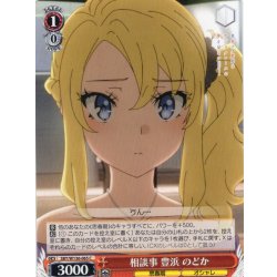 画像1: 相談事 豊浜 のどか[WS_SBY/W136-065C]
