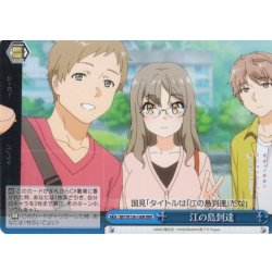 画像1: 【RRR仕様】江の島到達[WS_SBY/W136-100R]