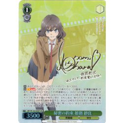 画像1: 【SP仕様(R)】秘密の約束 姫路 紗良[WS_SBY/W136-030_SP]
