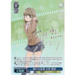 画像1: 【SP仕様(R)】頼れる後輩 古賀 朋絵[WS_SBY/W136-077_SP]