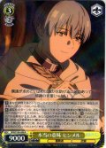 本当の意味 ヒンメル[WS_SFN/S136-008R]