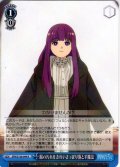 服の汚れをきれいさっぱり落とす魔法[WS_SFN/S136-094R]