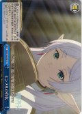 ヒンメルの自伝[WS_SFN/S136-099CR]